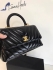 Chanel Bag 267 Lizard handle